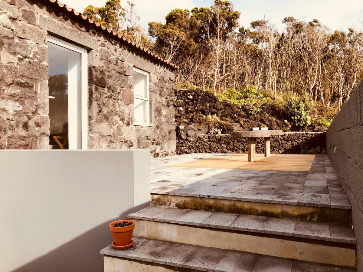Casa d'Avó Francisco Casa de hóspedes Madalena  Exterior foto